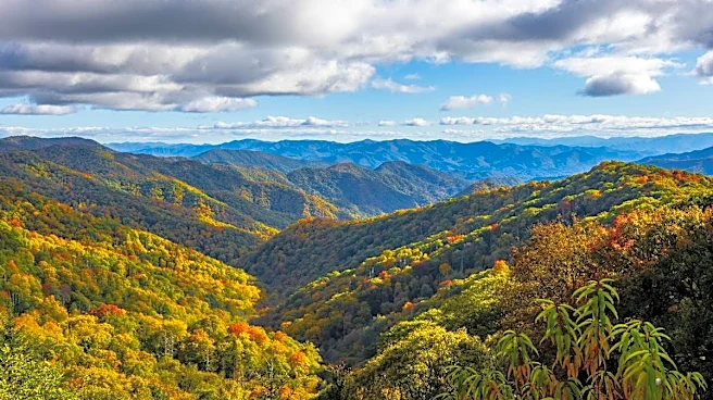 National park visitors first arrested for this crime in 2026