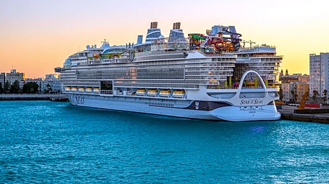 Royal Caribbean acquires stake in major resort operator