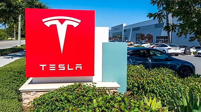 Wall Street bank makes radical Tesla call after Q3 deliveries news