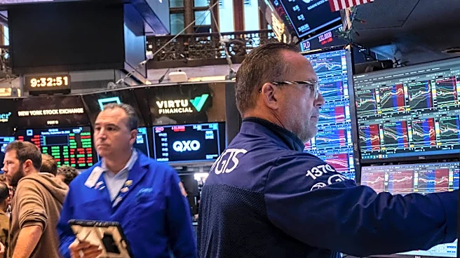 AI stocks will “outrun the avalanche”: CIO on what to buy and what to avoid