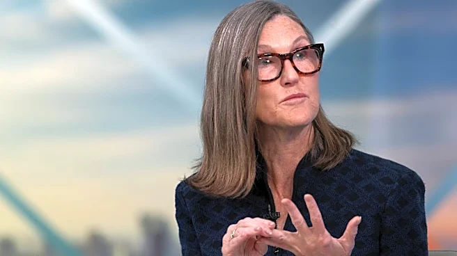 Cathie Wood trims $4.7 million from major tech stock after big rally