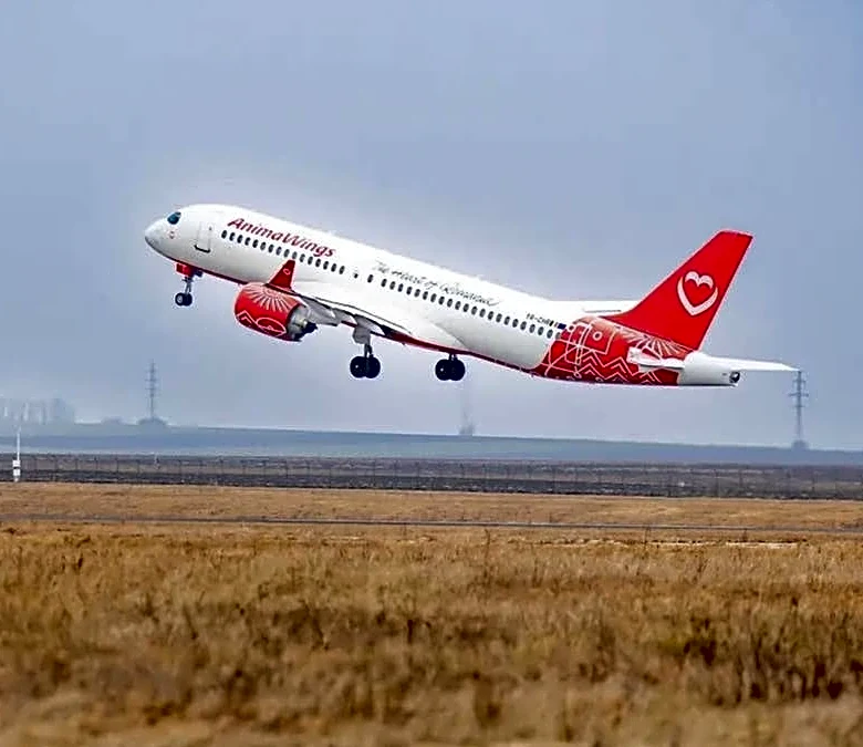 Travelers left stranded as another airline, Animawings, cancels all flights