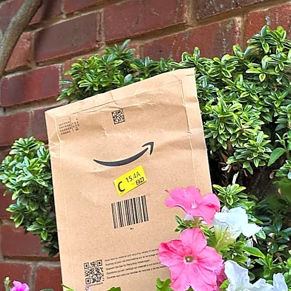 Amazon sells a $50 outdoor ceiling fan with a built-in light for canopies and covered patios