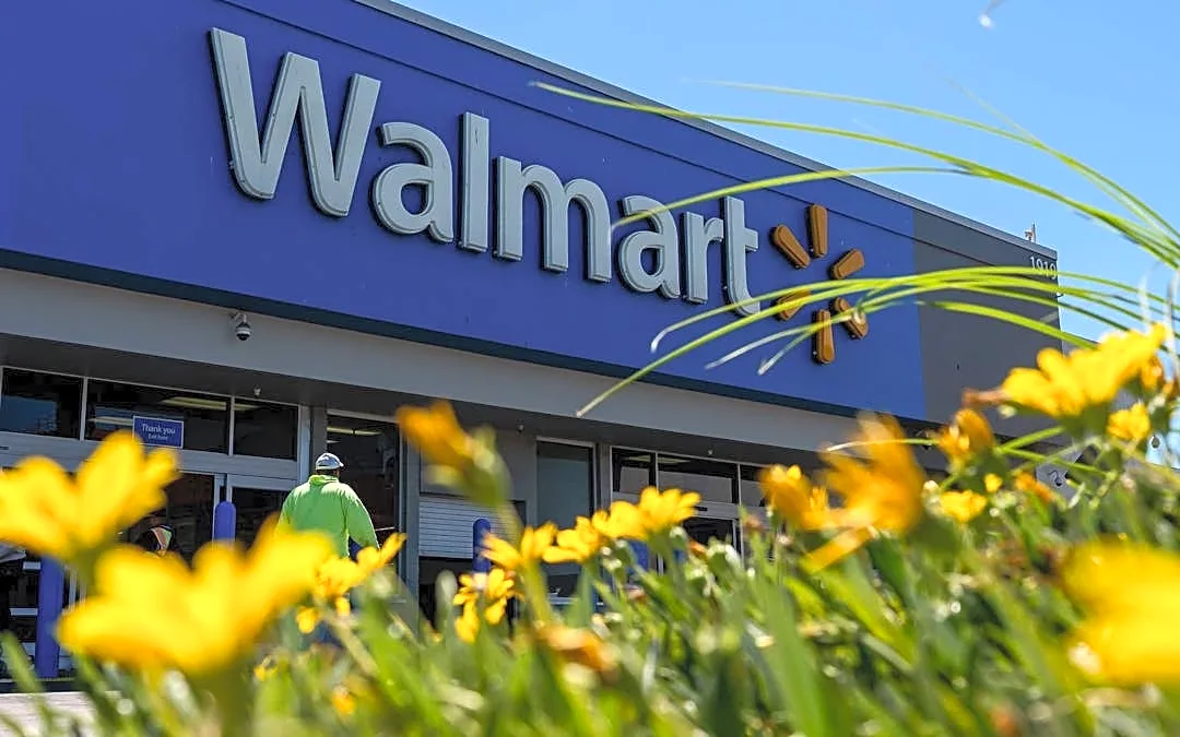 Walmart is selling a hooded fleece robe for only $36