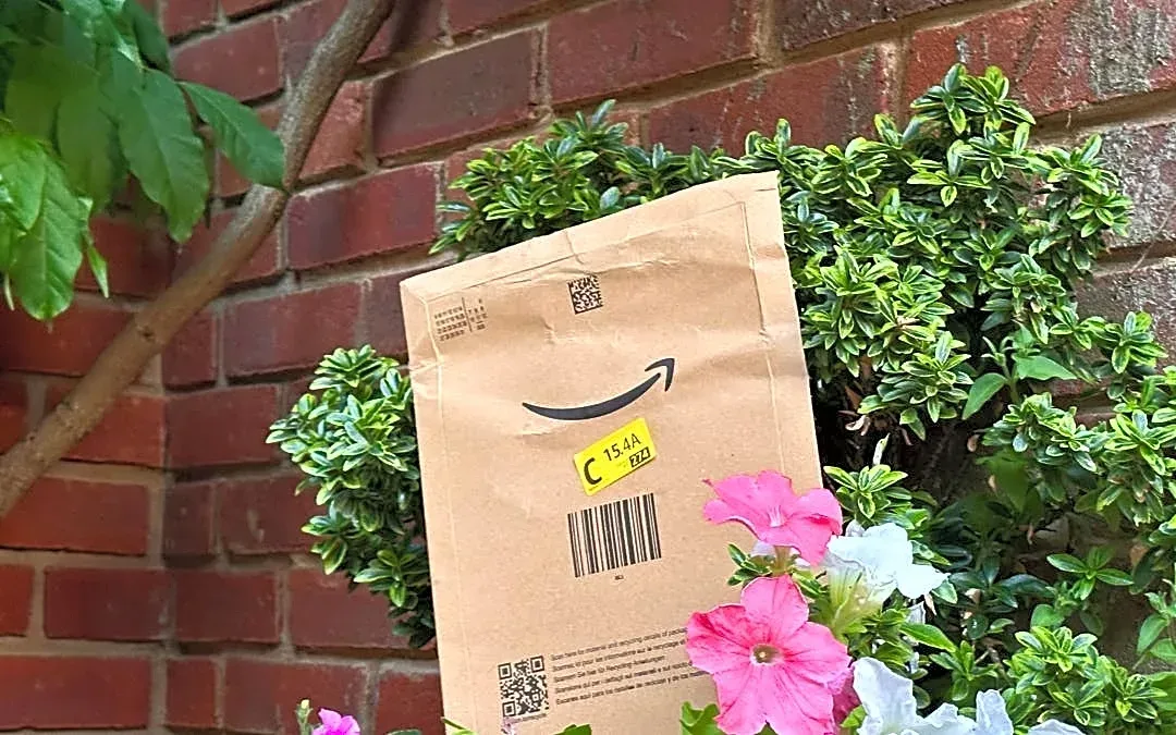 Amazon's $110 pop-up canopy tent has an attached mosquito net