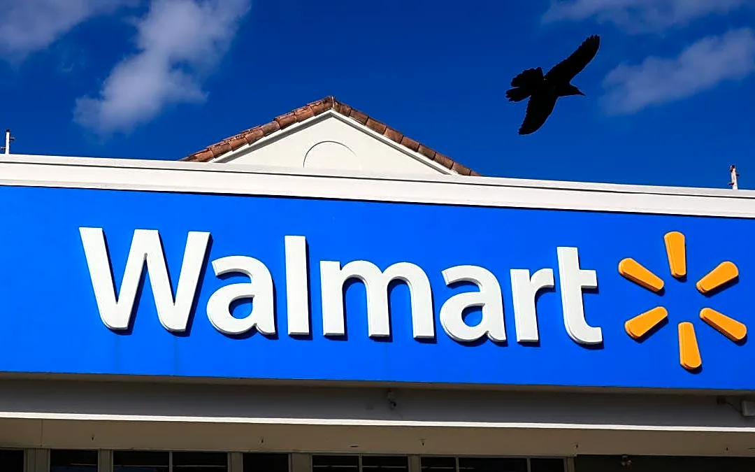 Walmart's adjustable 10-shelf organizer rack holds up to 1,500 pounds for just $80