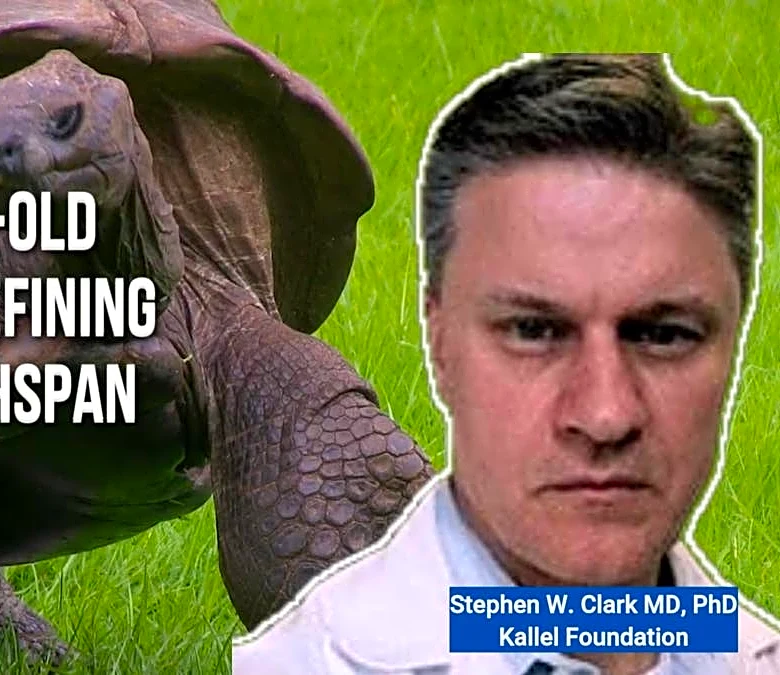 The 200-Year-Old Tortoise Redefining Human Healthspan