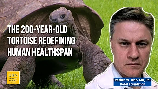 The 200-Year-Old Tortoise Redefining Human Healthspan