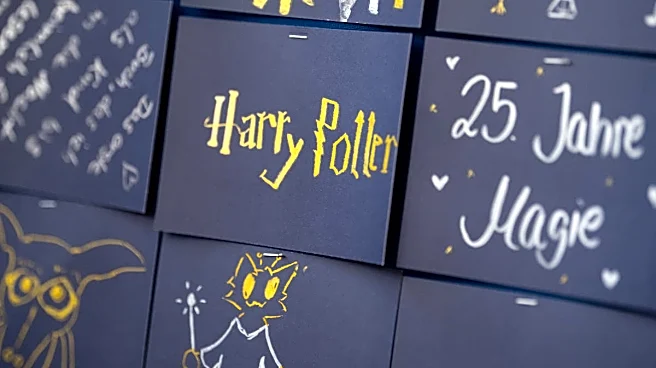 HBO's Harry Potter series is on track to cost more than any of the films