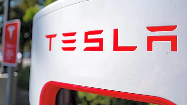 Tesla stock sellers should pump their brakes, 5-star analyst says
