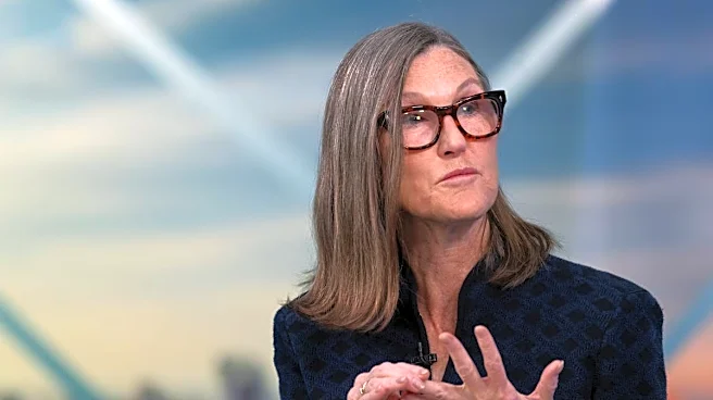 Cathie Wood buys $24.5 million of tumbling tech stock