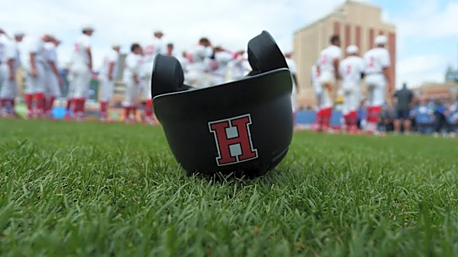 Hiland baseball vs. St. Henry in OHSAA semifinals, live scores from Akron