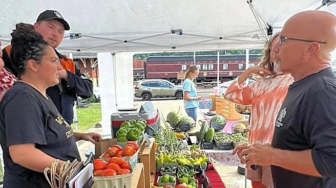 Dennison market returns with vendors, live music and kids' programming