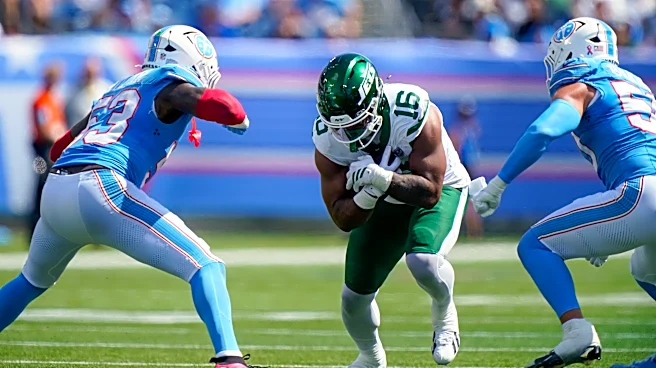 Tennessee Titans' Anthony Hill Jr. sets record in his debut
