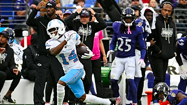 Tennessee Titans vs. Baltimore Ravens Player of the Game: Carnell Tate