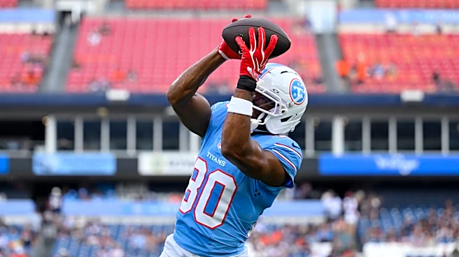 Texans sign former Titans wide receiver ahead of Week 5 matchup