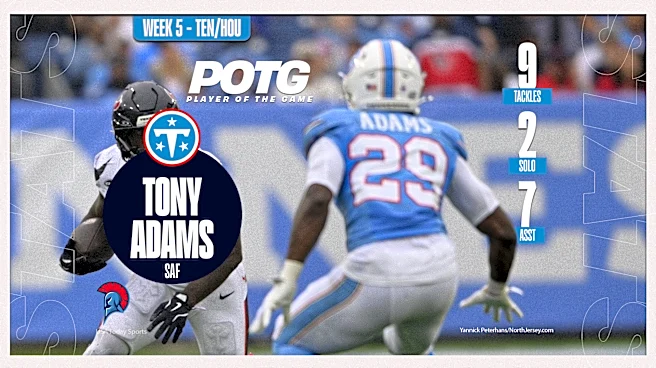 Tennessee Titans vs. Houston Texans Player of the Game: S Tony Adams