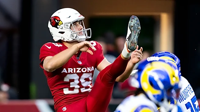 Tennessee Titans worked out multiple players, including P Matt Haack