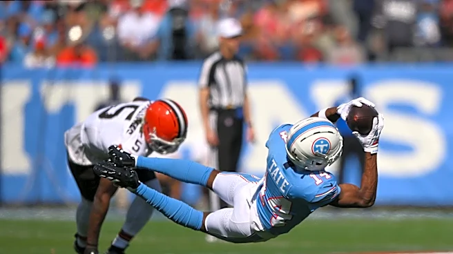 Tennessee Titans injury report: Carnell Tate, Tommy Townsend sit out