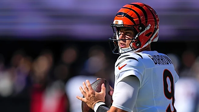 Tennessee Titans vs. Cincinnati Bengals Week 8: Gimme Him