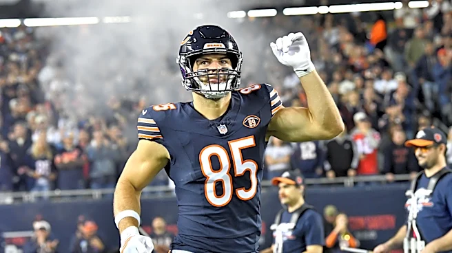 Bears lose starting TE after season-ending knee injury vs. Patriots