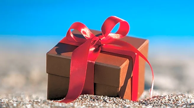 The Atlantic's 2025 Gift Guide Suggests Unconventional Presents