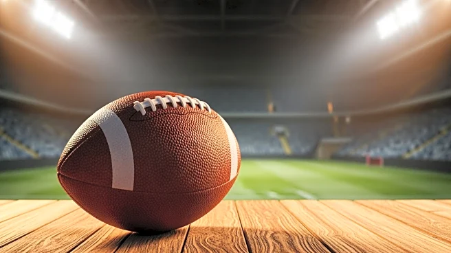 Chicago Bears vs. Pittsburgh Steelers: Viewing Options and Game Preview