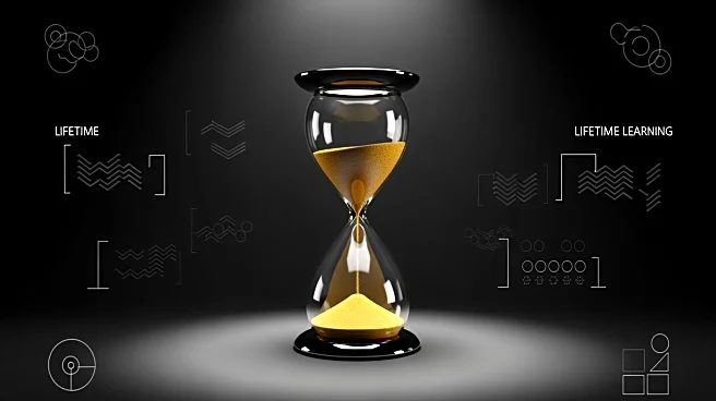 Black Friday Deal Offers Lifetime Learning Subscription at Record Low Price