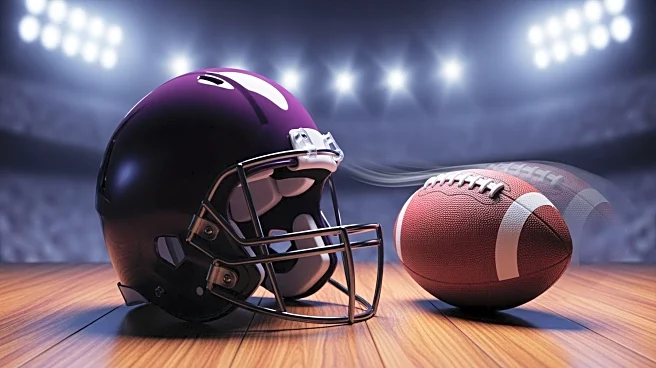 Baltimore Ravens' Mark Andrews Responds to Viral Touchdown Run