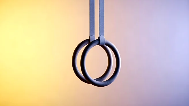 Olympic Gymnast Suni Lee Shares Her Preferences in a Partner