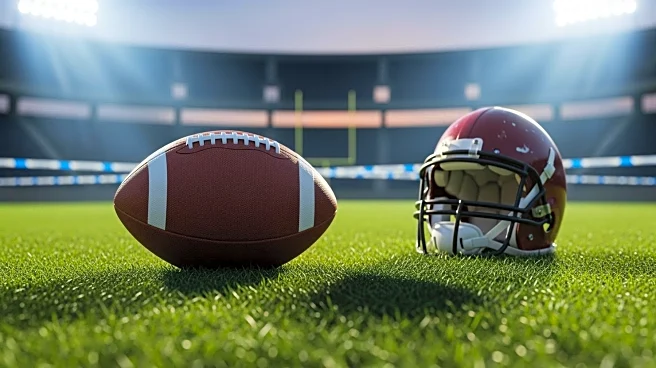 Buffalo Bills' Josh Allen Suffers Injury During Game Against Houston Texans