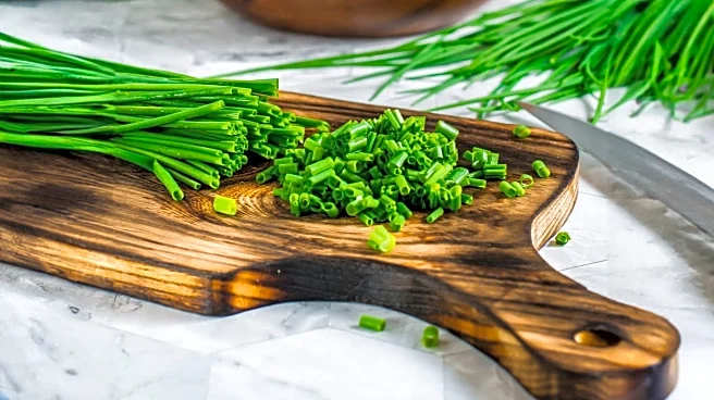 Chive Chopping Becomes a Competitive Sport Among Chefs on Social Media
