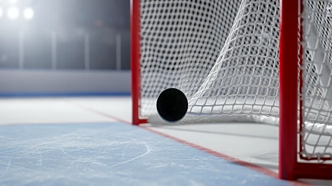 Luukkonen Denies Bedard's Breakaway in NHL Matchup