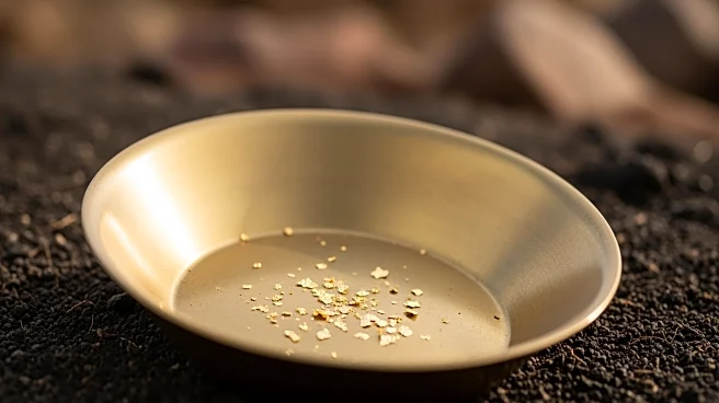 Hillsdale Investment Management Reduces Stake in Fortuna Mining Corp Amid Market Adjustments