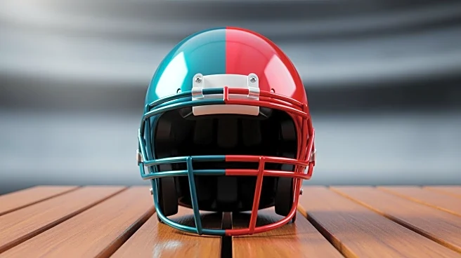 Jacksonville Jaguars Aim for Victory Against Arizona Cardinals in NFL Week 12