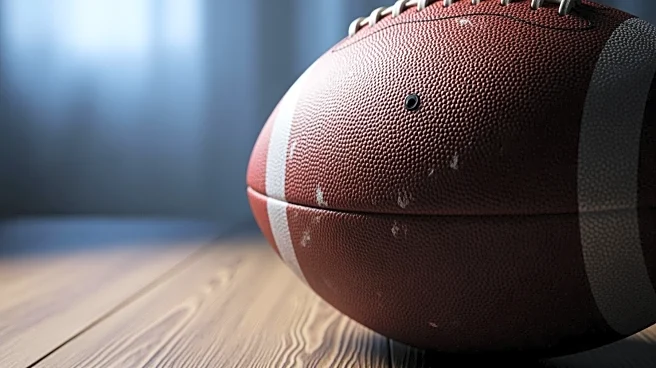 NFL Analysts Critique Baker Mayfield's Performance Amid 2025 Season Struggles