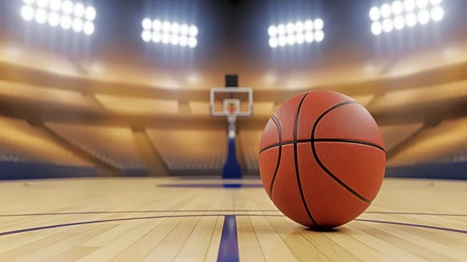 Andrej Stojakovic Shines in Illinois' Victory Over Long Island University