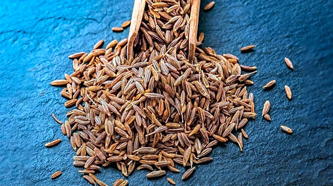 Study Finds Cumin Seeds May Lower Cholesterol Levels