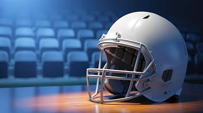 Analyst Predicts Houston Texans Will Miss NFL Playoffs Despite Recent Wins