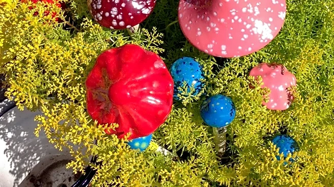 Fairfield Artisans Gather for Rancho Solano Holiday Boutique to Showcase Crafts