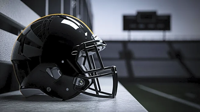 Pittsburgh Steelers Face Challenging Path to Playoffs After Loss to Bears