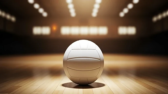 Beacon-News/Courier-News Announces 2025 Girls Volleyball All-Area Team