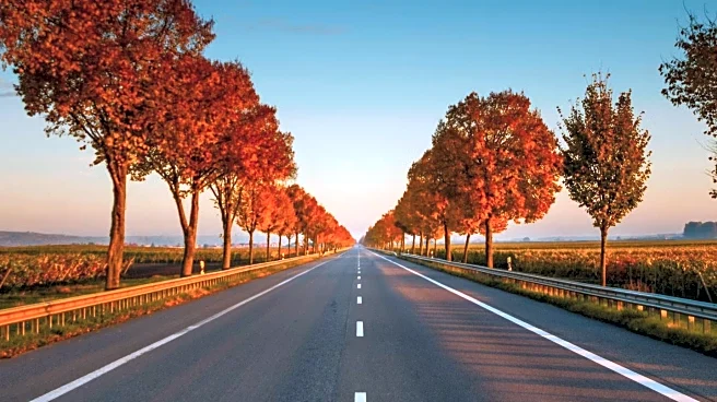 AI Tools Simplify Thanksgiving Road Trip Planning for Millions