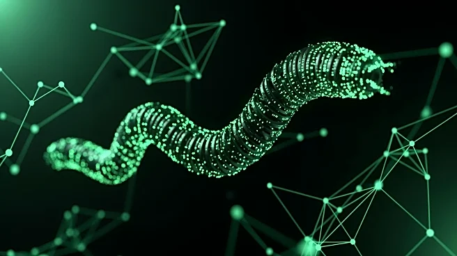 Security Experts Warn of Shai-Hulud Worm Threatening npm Ecosystem