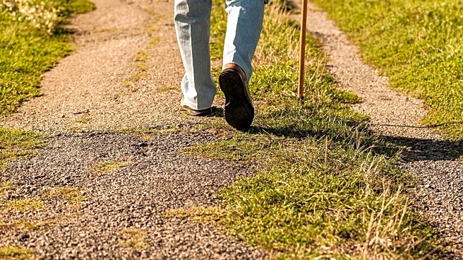 78-Year-Old Man and Bulldog Inspire with Their Slow Walks for Health