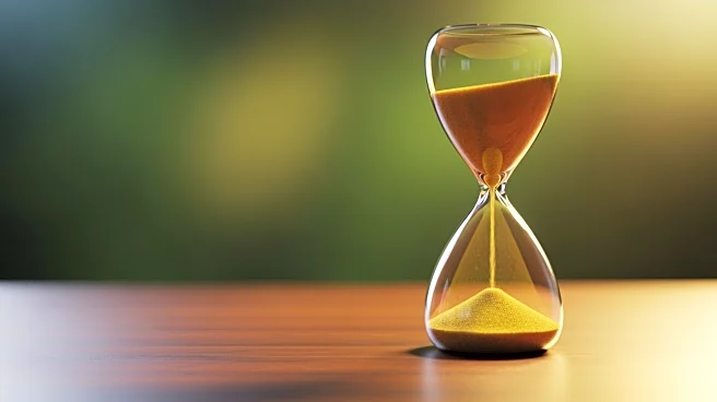 Yieldstreet Rebrands to Willow Wealth Amid $208 Million Investor Losses