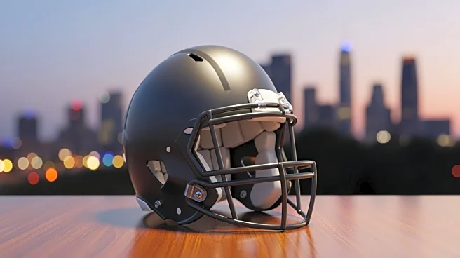 Chicago Bears Fans Urged to Focus on Future Success Rather Than Past Achievements