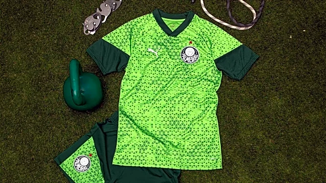 Gym Accident Results in Tragic Death of Brazilian Man