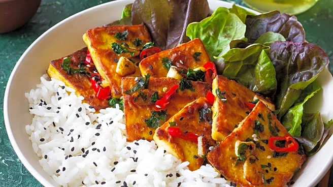 Tel Aviv's 'Opa' Offers Unique Vegan Dining Experience