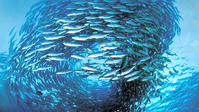 Oxford's 'Rage Bait' Word of the Year Reflects Internet's Influence on Language